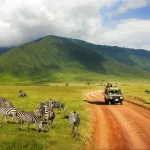 Afrika Selatan: Pengalaman Multikultural yang Ramah Muslim | Muslim Traveler